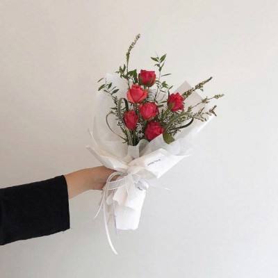 开云·体育平台下载手机版